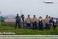 Wujudkan Program Asta Cita: Pemdes Mekar Sari Panen Raya Perdana dan Ubinan Produksi Jagung
