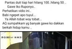 Diduga Babi Ngepet Terekam CCTV di Kepahiang, Warga Ngaku Kehilangan Uang 