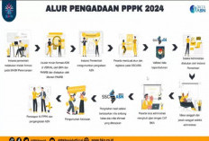 Simak Prioritas Pengangkatan PPPK untuk Tenaga Honorer Menjadi ASN Tahun 2024