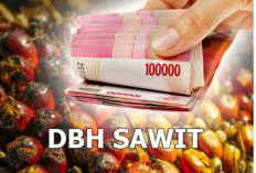 Rejang Lebong Terima DBH Sawit Rp 2,3 Miliar, Ini Peruntukannya