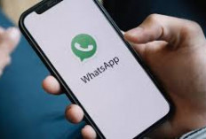 Fitur Terbaru WhatsApp: Bisa Terjemahkan Chat Otomatis, Ini Caranya 