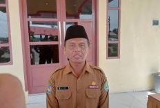 Tegas! BKPSDM Benteng 'Ancam' PPPK yang Manupulasi Data Akan Dipidana 