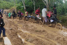 Ditambah Jasa Angkut, 1 Sak Semen di Desa Langgar Jaya Capai Rp 120 Ribu