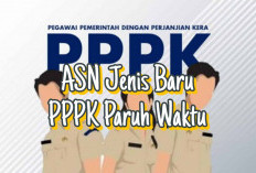 Gaji PPPK Paruh Waktu Belum Jelas, Begitu juga Kriterianya 