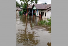 Cerita Memilukan Warga yang Dikepung Banjir di Padang Lekat Kepahiang