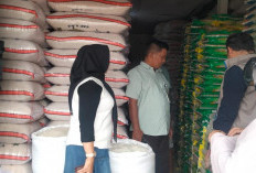 Dapat Gelontoran Beras SPHP, Dinas Perdagangan Kepahiang Ingatkan Pedagang Jual Sesuai HET!