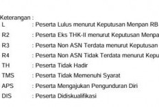 Semua Lulus? Tidak Ada Kode TL di Pengumuman Kelulusan PPPK Tahap I, Simak Penjelasan BKN  