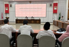 Pemprov Bengkulu Bakal Rampingkan Birokrasi: 17 OPD Dilebur jadi 8 OPD