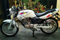 Simak,Spesifikasi Lengkap Honda Tiger 2000