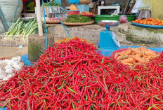 Harga Cabai di Kabupaten Kepahiang Semakin Pedas: Segini Harganya Per Kilogram