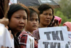 Tidak Hanya PNS, Dana KUR BRI juga Bisa Dicairkan oleh TKI
