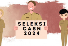 Jika Pelamar CASN 2024 Punya Masalah, Segera Hubungi Ombudsman