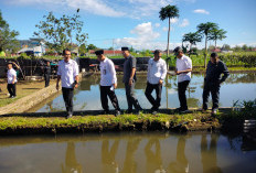 PRD Provinsi Dorong Lahan SPP Kelobak Dihibahkan: Kepahiang Siap Tukar Guling dengan Lahan Ini