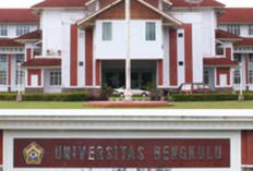 Daftar Universitas/Perguruan Tinggi di Bengkulu, Referensi Calon Mahasiswa Baru