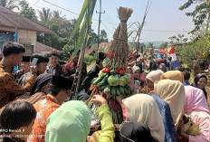 Arak-arakan Jolen dan Rebutan Gunungan Meriahkan Sedekah Bumi Desa Cirebon Baru