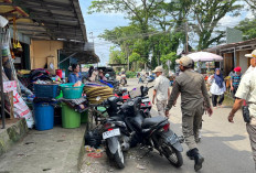 PPPK Bisa Menjadi PNS? Ini Penjelasan Lengkap Peluang dan Ketentuan yang Berlaku