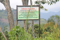 Pengukuran Lahan Pemkab Lebong yang Belum Bersertifikat Ditarget Tuntas 2026