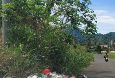  Sampah Menumpuk di Jalur Masuk Perkantoran Pemkab Kepahiang