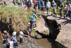 Atasi Sawah Kekeringan, Warga Talang Benih Perbaiki Bendungan Jebol Secara Mandiri