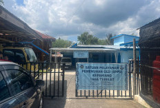 Bakteri Staphylococcus aureus Diduga Ditularkan Penjamah Makanan SPPG, Ini Rekomendasi Dinkes Kepahiang!