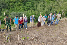 Desa Kembang Seri Kabupaten Kepahiang Tanam Jagung 