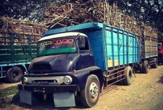 Populer Sejak 1950: Ini Dafar Truk Legenda di Indonesia
