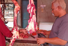 Jelang Lebaran, Harga Daging dan Ayam di Kepahiang Naik
