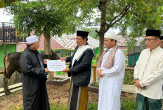 Wagub Bengkulu Serahkan 2 Sapi Kurban untuk Masjid Baitul Izzah, Total 52 Ekor Disalurkan ke Daerah