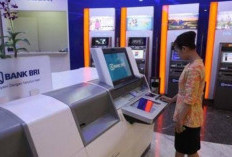  Sudah Survey, Tapi Gagal Ajukan Pinjaman KUR, Ternyata Ini Penyebab!