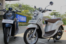 4 Rekomendasi Motor Yamaha Terbaru 2025 Harga di Bawah Rp 20 Jutaan: Ini Kelebihan yang Dimiliki