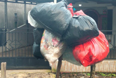 THL Dirumahkan Volume Sampah Membludak & Armada Kurang: Dinas LH Kepahiang Kelabakan