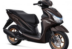 Kelebihan dan Kekurangan Motor Bekas Yamaha FreeGo 125 