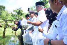 7.500 Bibit Ikan Dilepas di Sungai Air Duku dan Danau Kodok Rejang Lebong