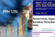 Deterjen, Kecap, Bumbu Dapur Kena Pajak? Petisi Desak Pemerintah Batalkan PPN 12 Persen Tembus 109 Ribu Lebih 