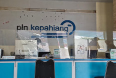 Semarak HUT KemRI ke 80 Tahun 2025: PLN Kepahiang Berikan Promo 50 Persen, Khusus Pelanggan Ingin Ini