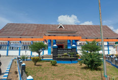  Pasien DBD di RSUD Lebong Alami Peningkatan, Mayoritas Anak-anak