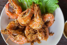  Catat, Ini 3 Obat Pertolongan Pertama Saat Alergi Udang 