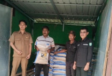 BPP Salurkan Bantuan Bibit Padi ke Kelompok Tani di Kecamatan Kabawetan