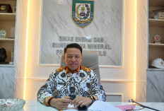 Program Listrik Gratis Pemprov Bengkulu Dilanjutkan Tahun 2025