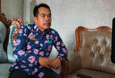Ratusan THL Kepahiang Mulai Dirumahkan: Benarkah Pejabat Kepahiang Tanpa Sopir?