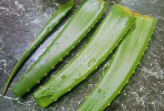 Gunakan 3 Bahan Ini untuk Rambut Sehat dan Indah