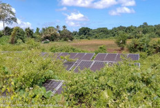 4 PLTS di Bengkulu Terbengkalai, Sumber Energi Bersih Masih Diabaikan