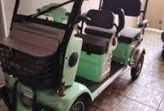 Bikin Tidak Nyaman: Ini Kendala yang Sering Terjadi Pada Motor Listrik Roda 4