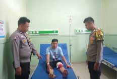 Warga Rejang Lebong Diterkam Beruang Madu di Kebun Kopi, Kondisi Paha Robek