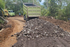 Progres Pembangunan Jalan Ladang Palembang Capai 41 Persen