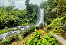 Tak Hanya di Kabawetan, 4 Wisata Kepahiang Ini Cocok Buat Liburan Bareng Keluarga Saat Lebaran