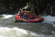Sempat Mati Suri, Wisata Arung Jeram Sungai Ketahun akan Kembali Dipromosikan