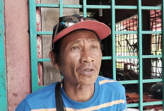 Ongkos Naik, Sopir Travel Kepahiang-Bengkulu Keluhkan Sepi Penumpang 