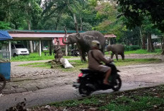 Revitalisasi Taman Remaja Gandeng Pihak Swasta