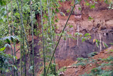 Masih Berpotensi Hujan Seharian, BMKG Kepahiang Kembali Imbau Waspada Hidrometeorologi